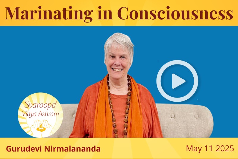 Marinating in Consciousness