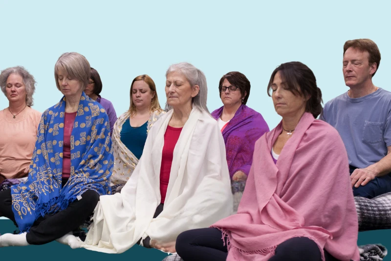 Meditation Teacher Training ONLINE 260407