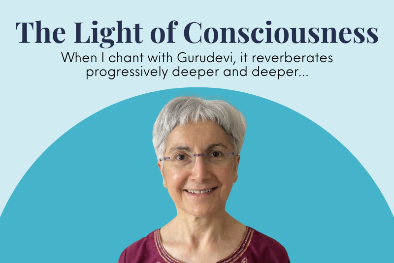 The Light of Consciousness