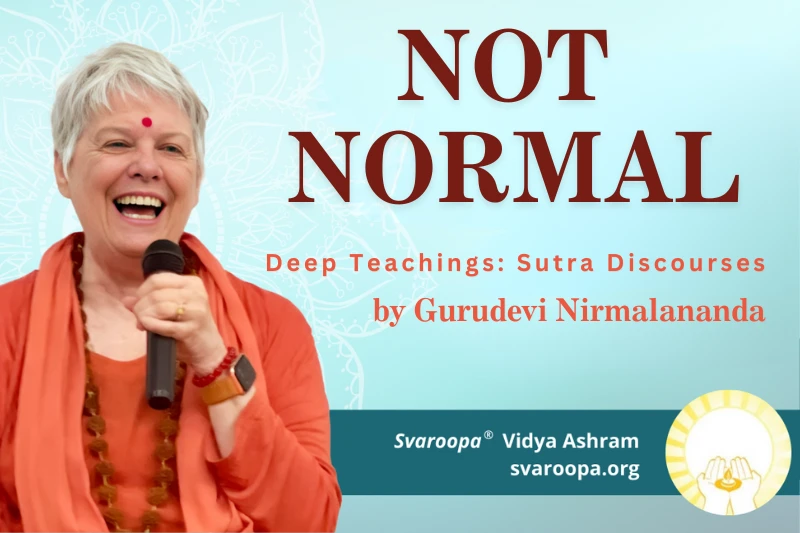 Not Normal 4/13/25