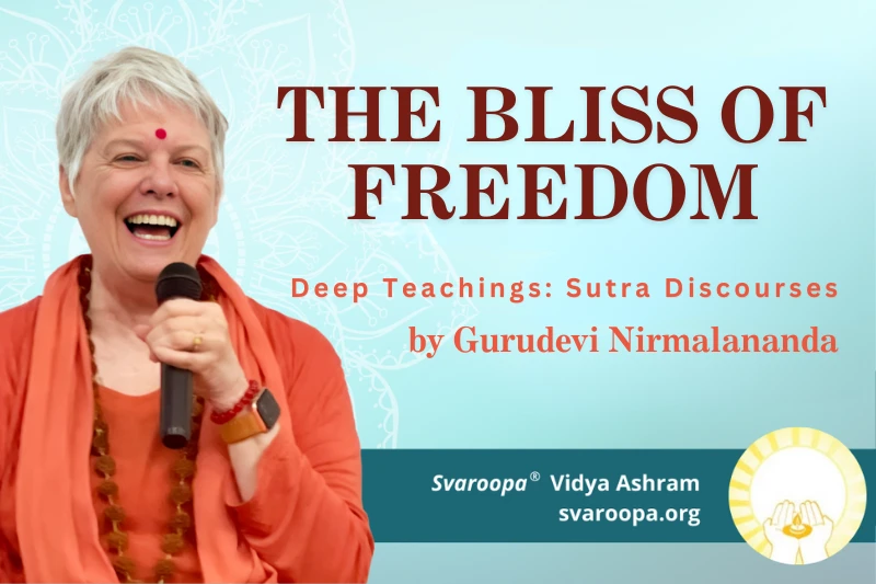 The Bliss of Freedom 7/6/25