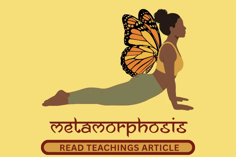 Metamorphosis