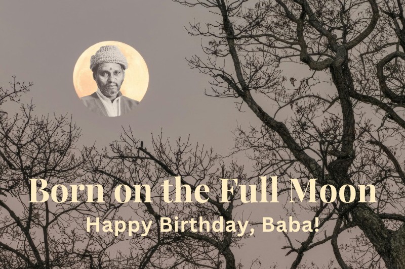 Born on the Full Moon 