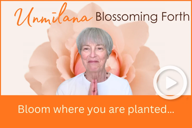 Planted at My Guru’s Feet