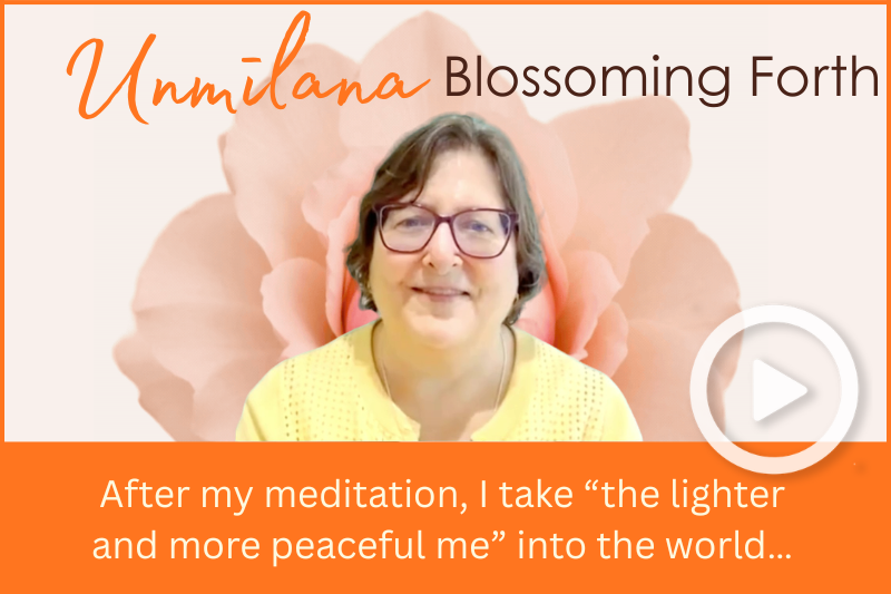 Welcome to Our Fundraiser!